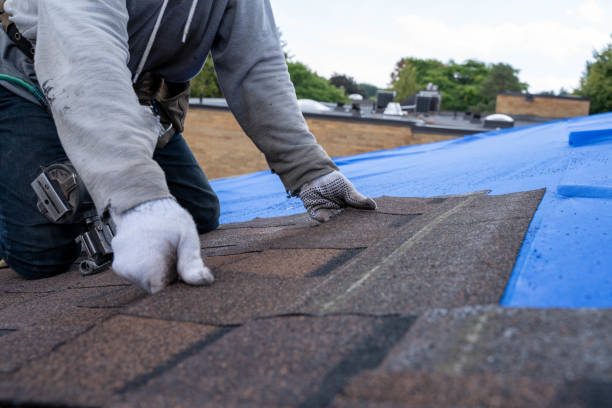 Best Roof Repair Services  in Matta, WA