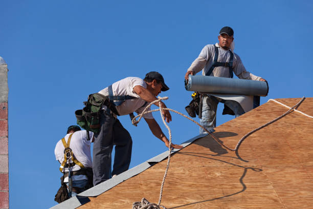 Best Roof Gutter Cleaning  in Matta, WA